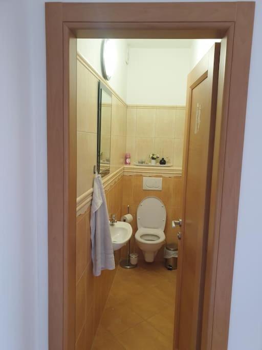 Mezonetovy Apartman V Centre Novej Dubnice Ilava 외부 사진